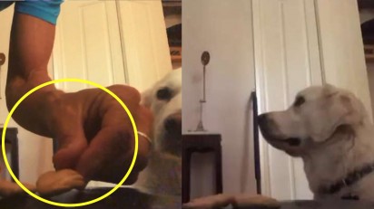 Dona coloca os petiscos sobre o assento e pede para que o seu cão não os coma. (Foto: Reprodução Youtube/Videlo)