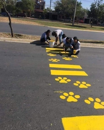 Voluntários pintam patinhas de cachorro na faixa de pedestres. (Foto: Facebook/Radiomax)