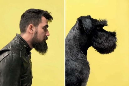 Dono e cachorro posaram para foto na mesma posição. Ambos com barba na mesma cor e corte. (Foto: Instagram/gezgethings) 