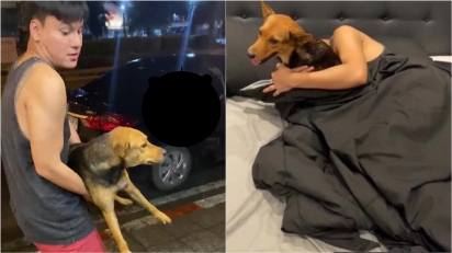 Jovem acorda de ressaca com um cachorro na cama e descobre que o adotou na noite anterior. (Foto: Facebook/Yutthaphum Kaewekhem) 