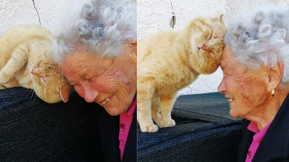 Mulher reencontra seu gato perdido há 4 anos na Itália. (Foto: Mimma Bei/Facebook)