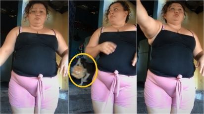 Cachorro rouba pacote de pão enquanto dona dançava para rede social. (Foto: Reprodução Tik Tok/erikaamaya00)