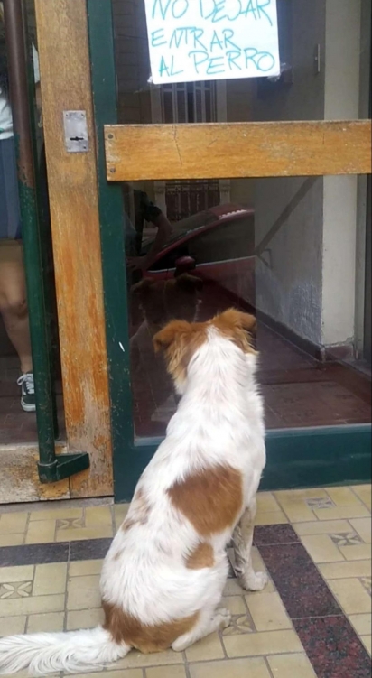 Na porta do prédio tinha uma placa pendurada com a seguinte escrita: não deixem o cão entrar. (Foto: Arquivo Pessoal/Lujan Videla)
