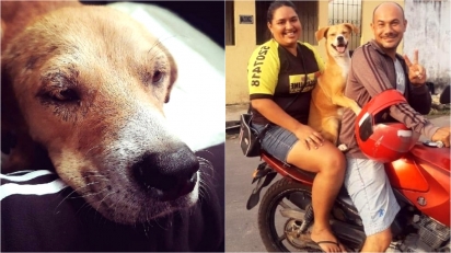Cachorrinha sorri de alegria ao ser adotada após anos vivendo nas ruas de Manaus. (Foto: Facebook/Arnaldo Rocha Neto)