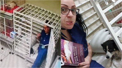 Médica veterinária lê histórias par os seus pacientes internados. (Foto: Instagram/yasmimfarhat) 