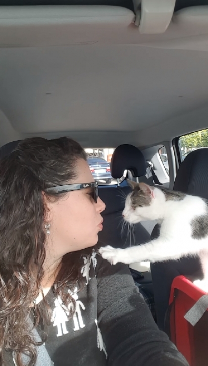 Gatinho se aproxima da mulher para agradecer por tê-lo resgatado. (Foto: Reprodução Youtube/Cat Rescue Newcastle)