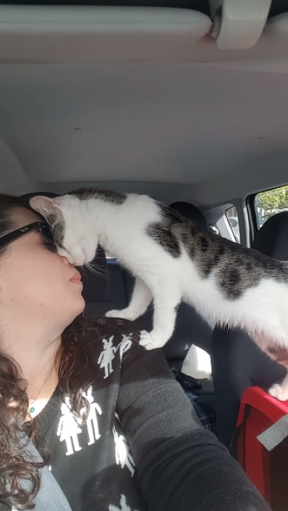 O gatinho encosta a sua cabeça na dela carinhosamente. (Foto: Reprodução Youtube/Cat Rescue Newcastle)