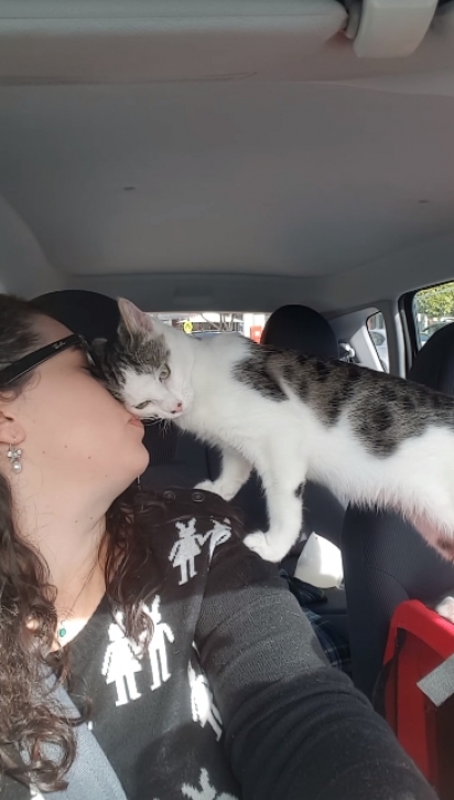 O gatinho acaricia delicadamente a mulher. (Foto: Reprodução Youtube/Cat Rescue Newcastle)