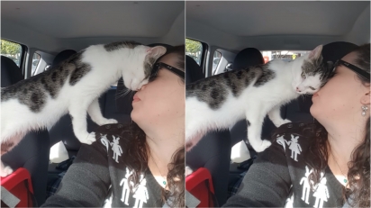 Mulher adota gatinho horas antes dele ser sacrificado e ele retribui acariciando o seu rosto. (Foto: Reprodução Youtube/Cat Rescue Newcastle)
