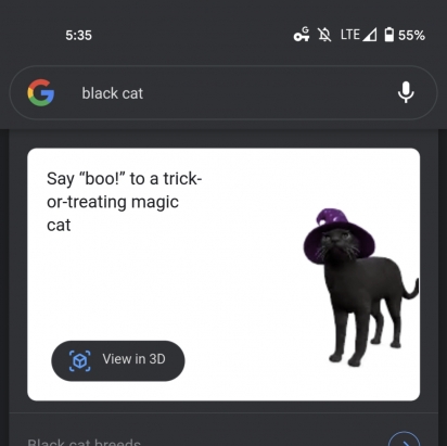 Os ‘gatos pretos’ ganham um chapéu de mago. (Foto: Google)