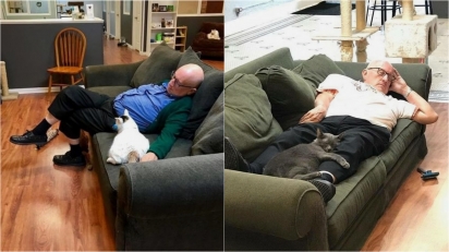 Idoso voluntário de 75 anos visita abrigo todos os dias para cochilar com os gatos. (Facebook/Safe Haven Pet Sanctuary Inc) 