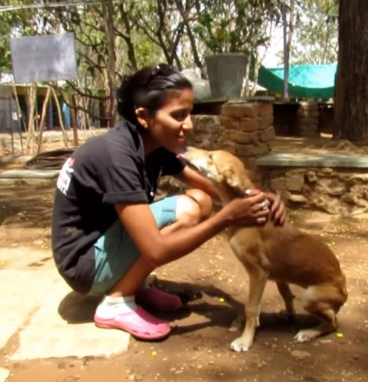 Ao se recuperar, a cachorrinha recebeu alta do hospital e foi encaminhada para um abrigo que tem dado todo o amor que ela merece. (Foto: Reprodução Youtube/ Animal Aid Unlimited, India) 