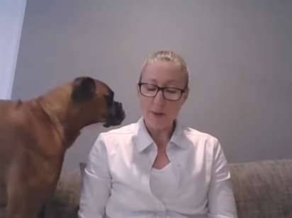 O cão se aproxima de sua dona durante aula por videochamada. (Foto: Reprodução Youtube/Deanne Bourke)