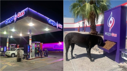Posto de gasolina no México instala comedouros para cães de rua poderem se alimentar. (Foto: Facebook/Grupo CargoGas)