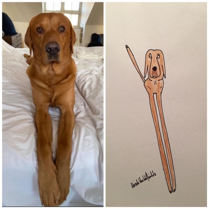 Esse cão tem as pernas compridas. (Foto: Facebook/Pet Portraits By Hercule)