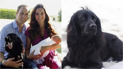 Príncipe William e Kate Middleton anunciam a morte do seu cachorro Lupo. (Foto: Instagram/Kensingtonroyal)
