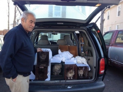 Willie Ortiz vende sucata para arrecadar fundos para a alimentação dos gatinhos. (Foto: Hartford Courant/Peter Casolino)