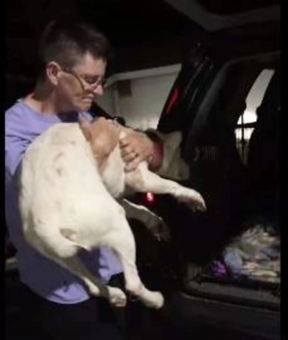 A cadela Niya estava tão debilitada que precisou ser carregada. (Foto: Facebook/Arrow Dog Rescue-Animal Rescue Revolution on Wheels)