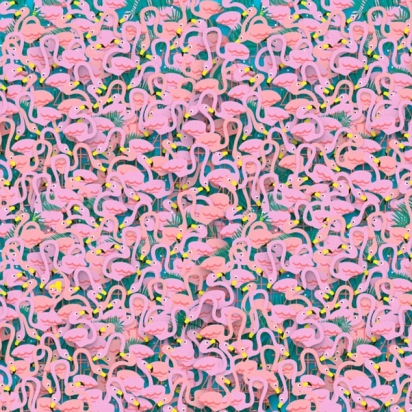 Desafio: encontrar a bailarina em meio aos flamingos. (Foto: Reprodução/Daily Mail)