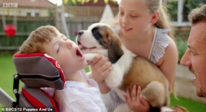 Woody e Dexter rapidamente se tornaram afetuosos, com o filhote dando beijos nele imediatamente após o encontro (Foto: BBC)