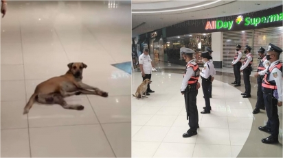 Cachorro de rua que invadiu shopping é contratado para fazer parte da segurança e é recebido com muito amor. (Foto: Facebook/DZMM TeleRadyo)