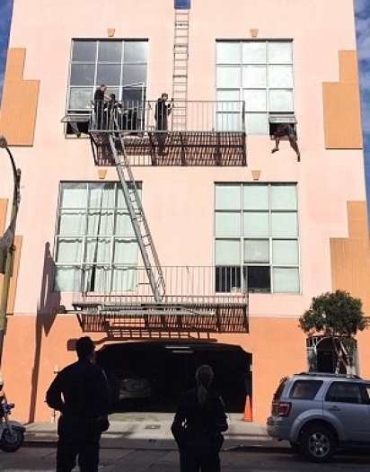 O resgate durou mais de três horas, até o homem ser convencido a se entregar. (Foto: CHP San Francisco)