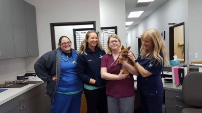A equipe da clínica precisou agir rápido para que a cachorrinha sobrevivesse. (Foto: Facebook/@NorthTexasEmergencyPetClinic)