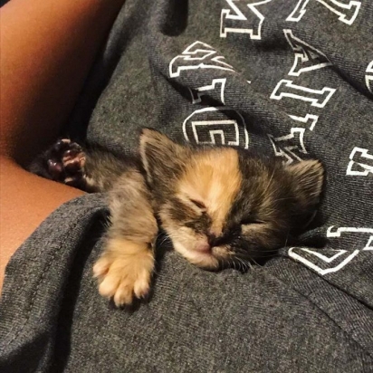 Sunny quem alimentava a gatinha, mas era CJ que ela mais gostava. (Foto: Instagram/iamchimera407)