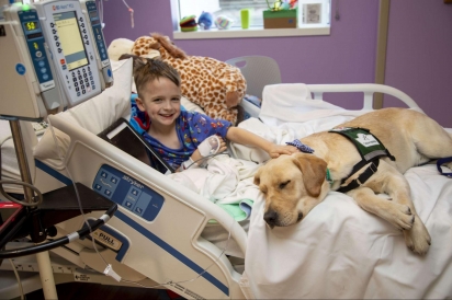 O cão participa de um programa hospitalar que busca oferecer terapia com cães aos pequenos pacientes internados. (Foto: Childrens Hospital of San Antonio)