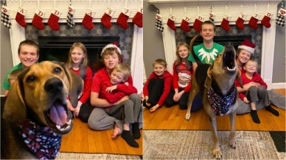 Família tenta produzir cartão de Natal e cadela acaba roubando a cena. (Foto: Arquivo Pessoal/Deanna Greenstein)