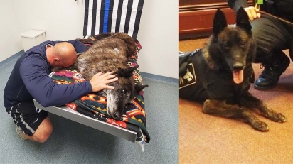 Policial lamenta a morte de cão policial Axel. (Foto: Friends of Central Falls Animals)