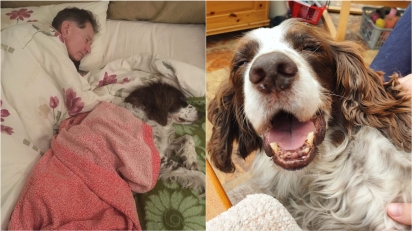 Filha registra pai dormindo na sala com o cão da família que está doente. (Foto: Facebook/Catherine Morris via Dogspotting Society)