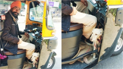 Cliente registra motorista de carro trabalhando com o seu cão para não deixá-lo sozinho. (Foto: Facebook/Manjiri Prabhu)