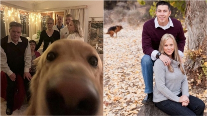 Confira sequência de fotos hilárias de cães que se intrometeram em fotos de família. (Foto: Divulgação/Bored Panda)