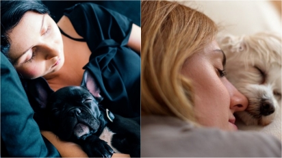 Estudo analisa benefícios de deixar o cachorro dormir na mesma cama que os donos. (Foto: Divulgação Unsplash/Rafal Jedrzejek | Divulgação/Getty Images)