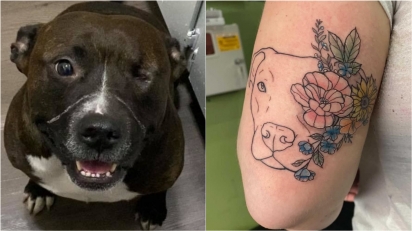 Dona homenageia o seu cachorro pit bull que não tem um dos olhos com uma tatuagem. (Foto: Facebook/Erica Pomponio via Dogspotting Society)