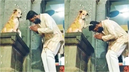 Cachorro cumprimenta e ‘abençoa’ fiéis na saída de templo indiano. (Foto: Reprodução Instagram/smalltobigtails)