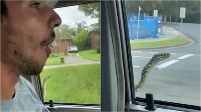 Cobra enorme aparece em janela de carro e pega carona com passageiros. (Foto: Facebook/Rachael Pace)