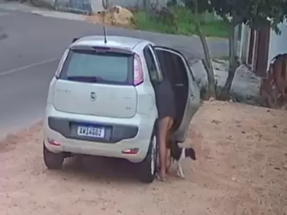 Mulher é filmada abandonando a cachorrinha em São José dos Pinhais, no Paraná.