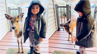 Menino de quatro anos é acompanhado por bebê cervo até a porta de casa. 