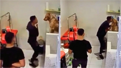 Funcionário de pet shop faz o maior sucesso na internet ao dançar e banhar cachorro.