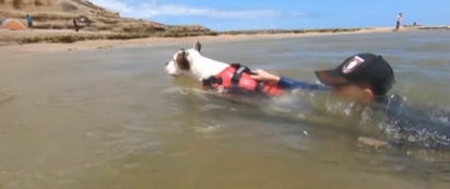 O cão Max rapidamente pulou na água para salvar o menino.
