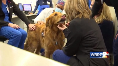 Há dois anos o cãozinho Finn frequenta o hospital Baton Rouge General para confortar os profissionais da saúde da rotina exaustiva. 