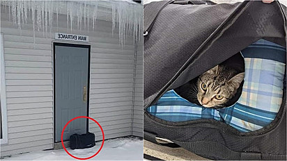 Os gatinhos foram abandonados no dia dia 18 de fevereiro em New Miami, Ohio, Estados Unidos.