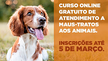 O curso é destinado a protetores independentes, integrantes de organizações da sociedade civil de proteção animal, técnicos das 399 prefeituras, médicos veterinários e zootecnistas do estado do Paraná. 