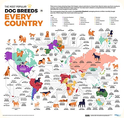 Mapa dos cachorros mais procurados do mundo.