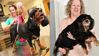 O cão Oscar vive com a sua dona Karen Allen em Wolverhampton, Inglaterra.