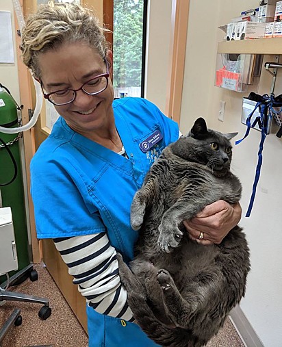 A gatinha Cinderblock com uma das profissionais do hospital veterinário Northshore Veterinary.