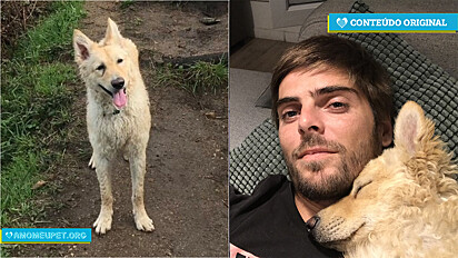Thomas Tebet perdeu seu cachorro no dia 16 de dezembro no bairro Cidade Jardim, em São Paulo.