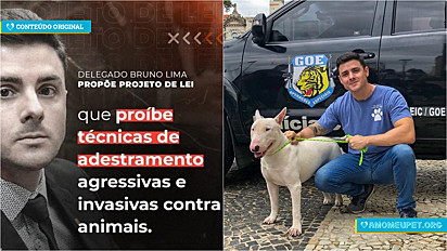 Bruno Lima propõe Projeto de Lei que proíbe agressão no adestramento de cães.